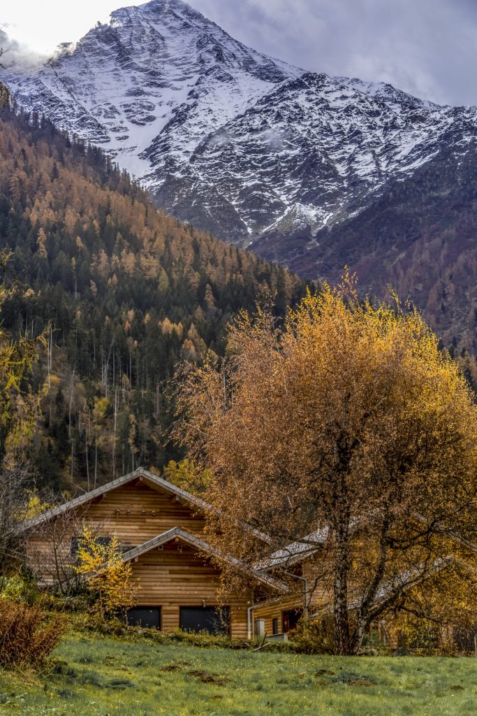 Wooden house in the mountains, snow on top the peaks, grass and yellow leafy trees next to the house. 