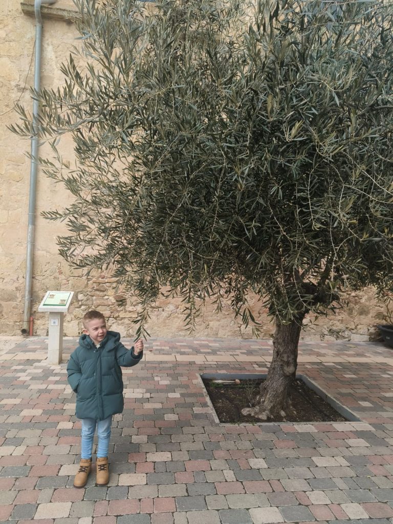 Small boy in jeans and a puffy green jacket standing near a large leafy green tree in a dirt square in a concrete sidewalk next to a wall. 