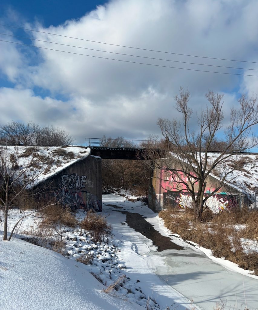 Snowy country road with a concrete bridge and a few bushes and leafless trees. 