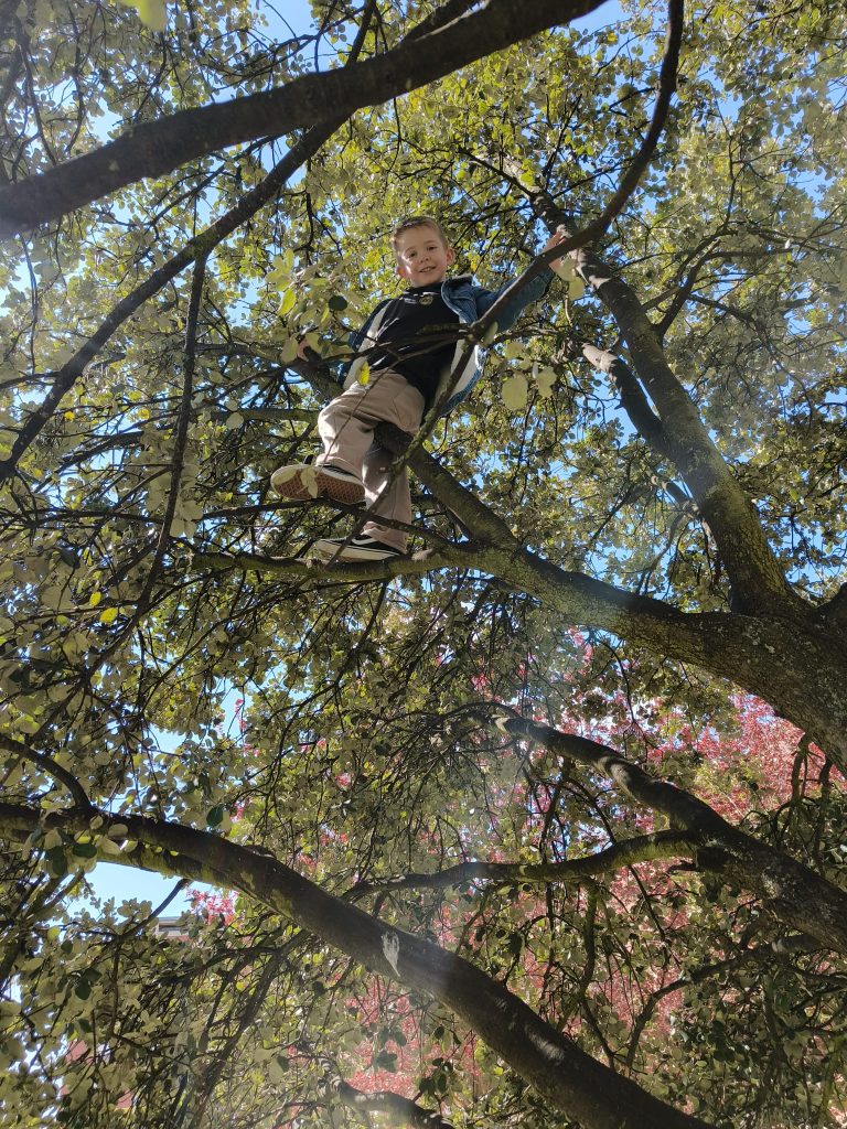 Boy climbing a tree with green leaves and pink blossoms. He's in an open zippered coat with a black shirt and tan pants and tennis shoes. 
