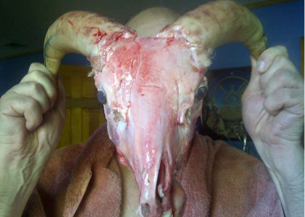 Young man in a bathrobe holding a sheep skull in front of his face. 