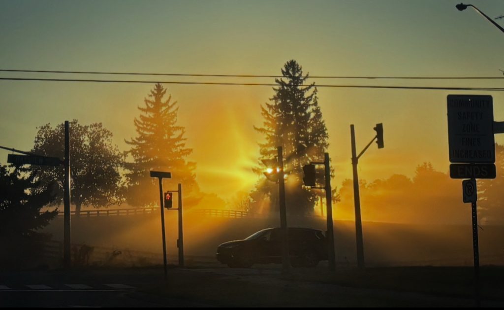 Golden sunset with the sun behind a tall conifer tree. Street with streetlights and a SUV going down the street. Power lines and streetlights. 