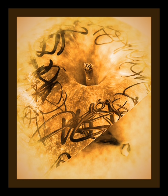 Closeup of an apple rendered into sepia, scrawled with black marker and surrounded by a black and brown border.