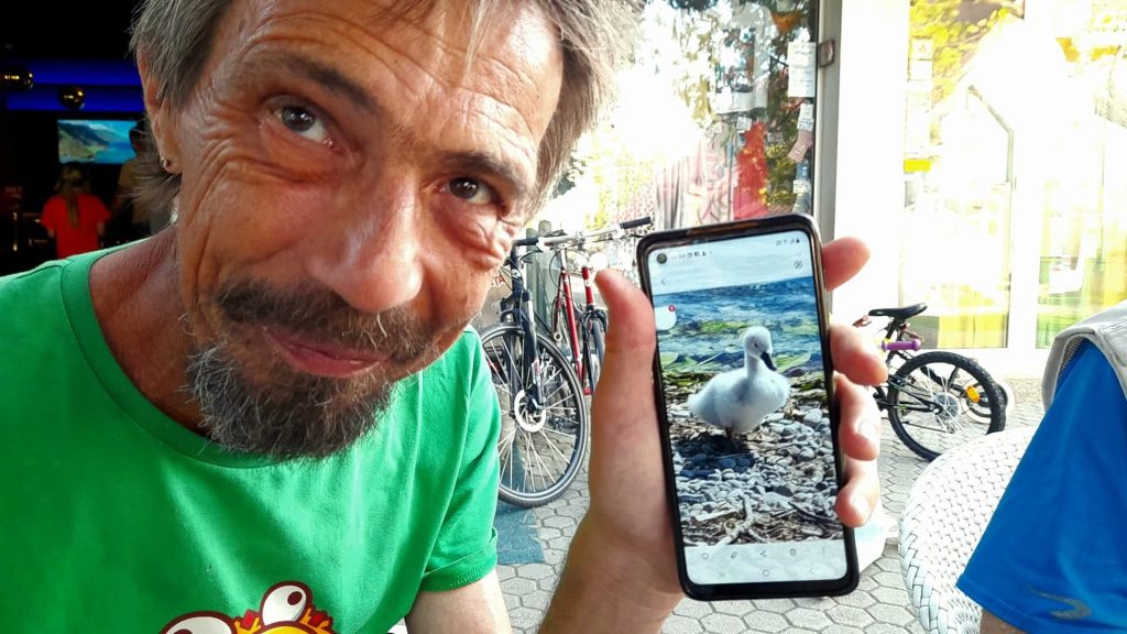 Older white European man in a green tee shirt holding up a phone with a picture of a tiny baby swan. Bicycles behind him and stone sidewalks.