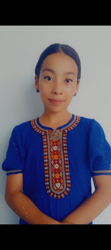 Young Central Asian woman with dark brown eyes, black hair up in a bun, small earrings, and a short sleeve blue blouse with a decorative orange and tan collar.