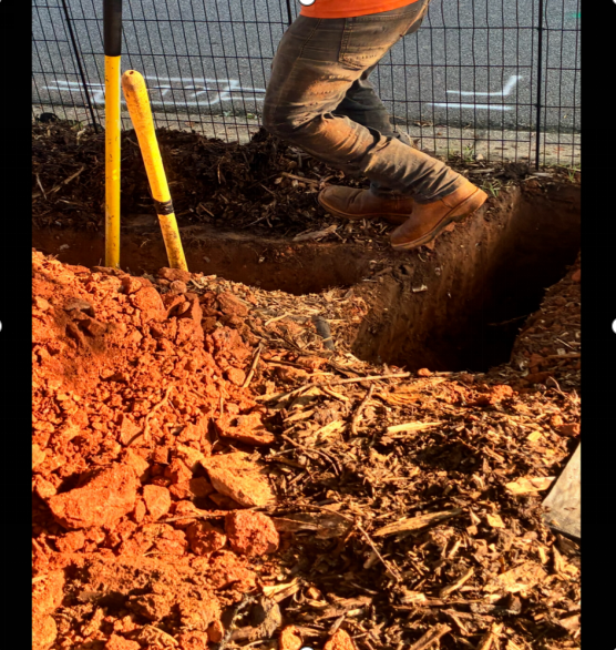 Legs and brown workboots of a man digging into red soil on a sunny day next to yellow shovels.