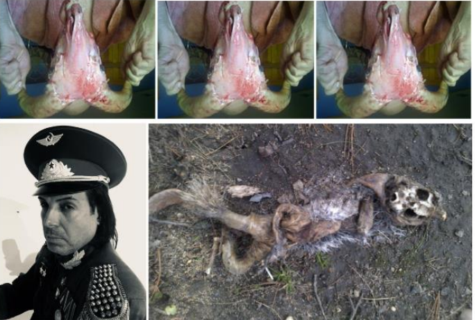 Image of ram's horns, a young white man with dark hair and a military cap and suit, and an animal carcass on the dirt.