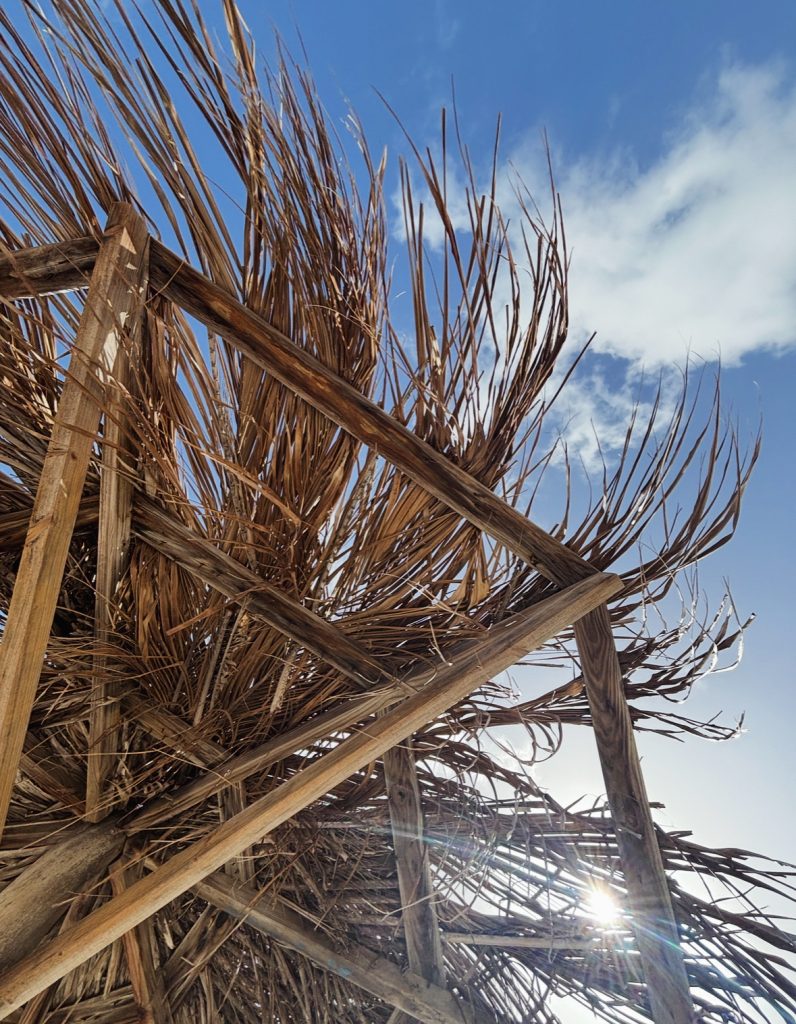 Tufts of palm fronds used to build a structure up close against blue sky. 
