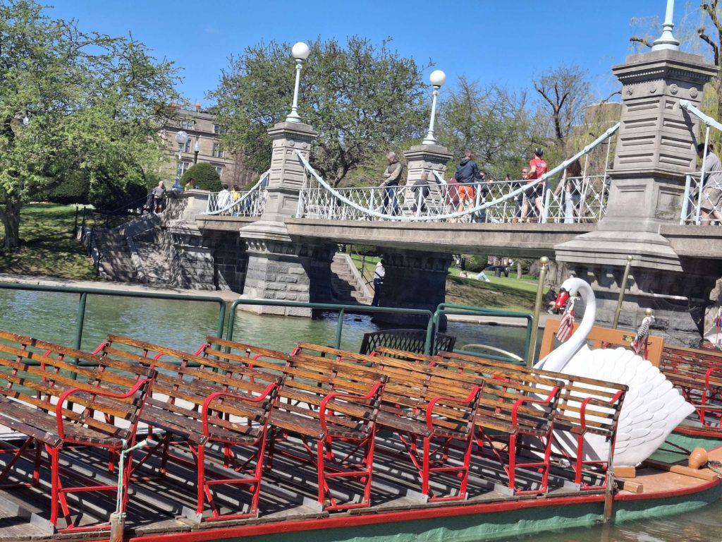 Boston Public Garden scene, boat on water with wooden benches and a white swan statue. Gray suspension bridge in the background, trees and grass and a building off in the distance on a sunny clear day. 