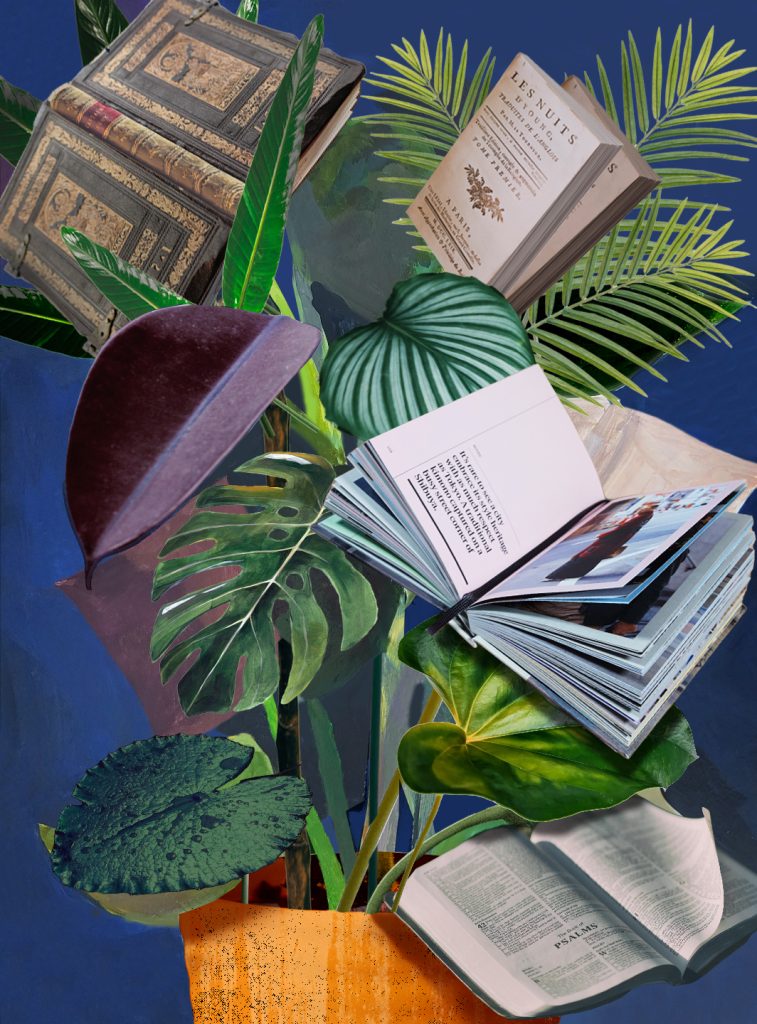 Abstract art with open books and houseplant leaves. 