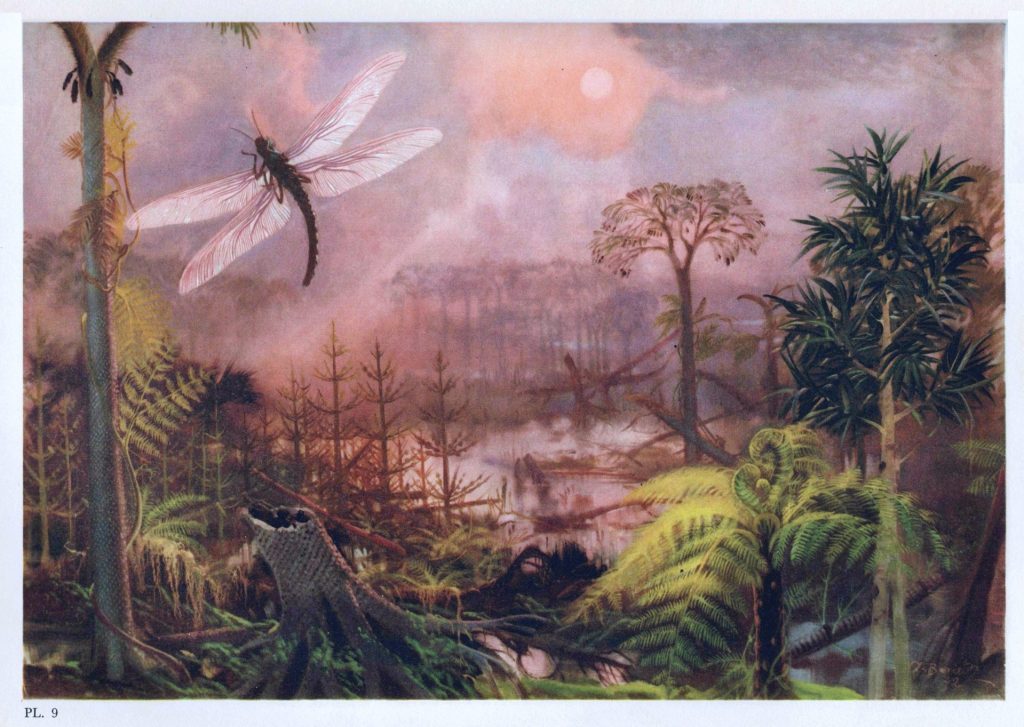Primeval jungle painting with dragonfly, sun and clouds, small trees and large green ferns.
