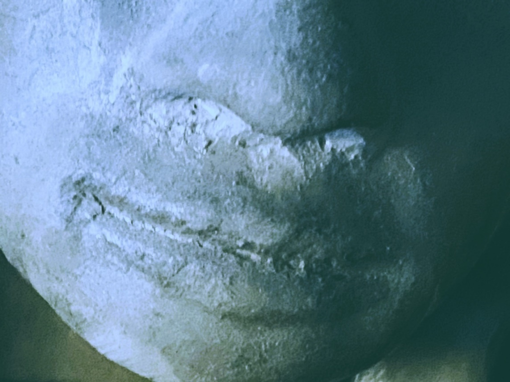 Close-up image of a clay sculpture of a human face. Each photo here is of a face from a slightly different angle, close up near the mouth.