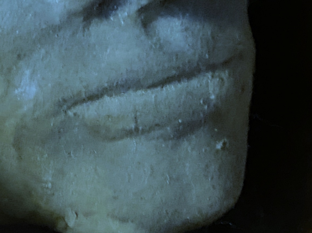 Close-up image of a clay sculpture of a human face. Each photo here is of a face from a slightly different angle, close up near the mouth.