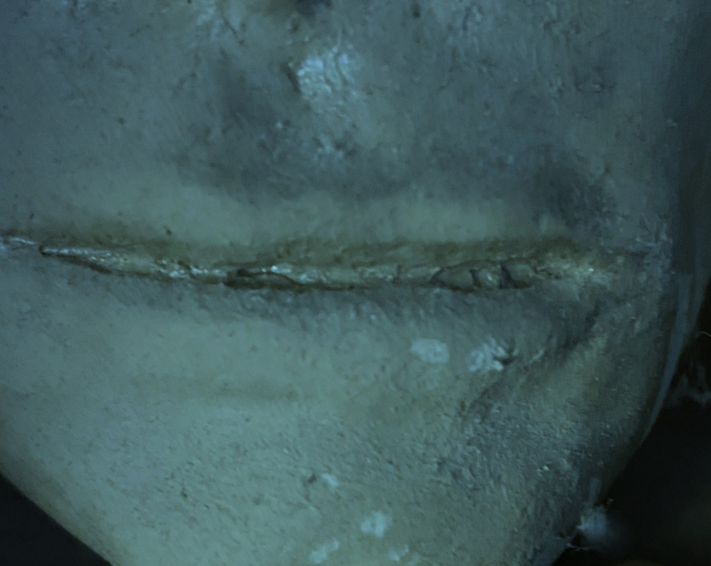 Close-up image of a clay sculpture of a human face. Each photo here is of a face from a slightly different angle, close up near the mouth.