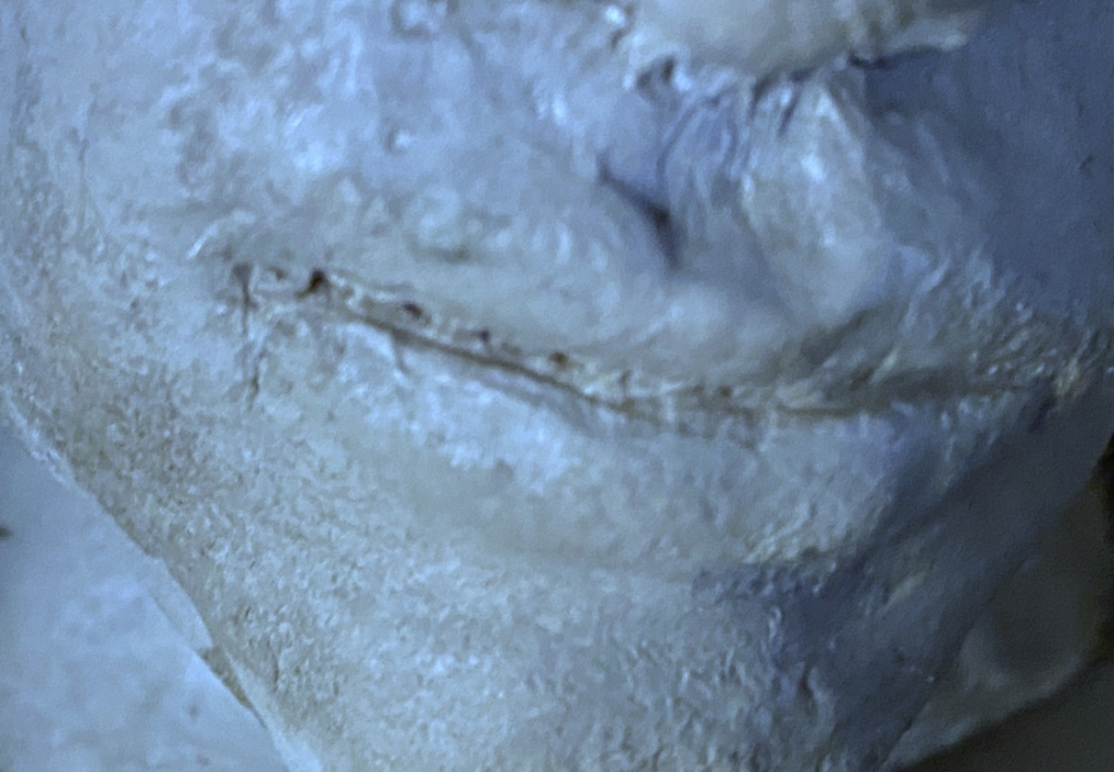Close-up image of a clay sculpture of a human face. Each photo here is of a face from a slightly different angle, close up near the mouth.