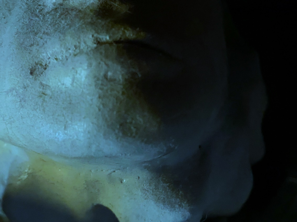 Close-up image of a clay sculpture of a human face. Each photo here is of a face from a slightly different angle, close up near the mouth.