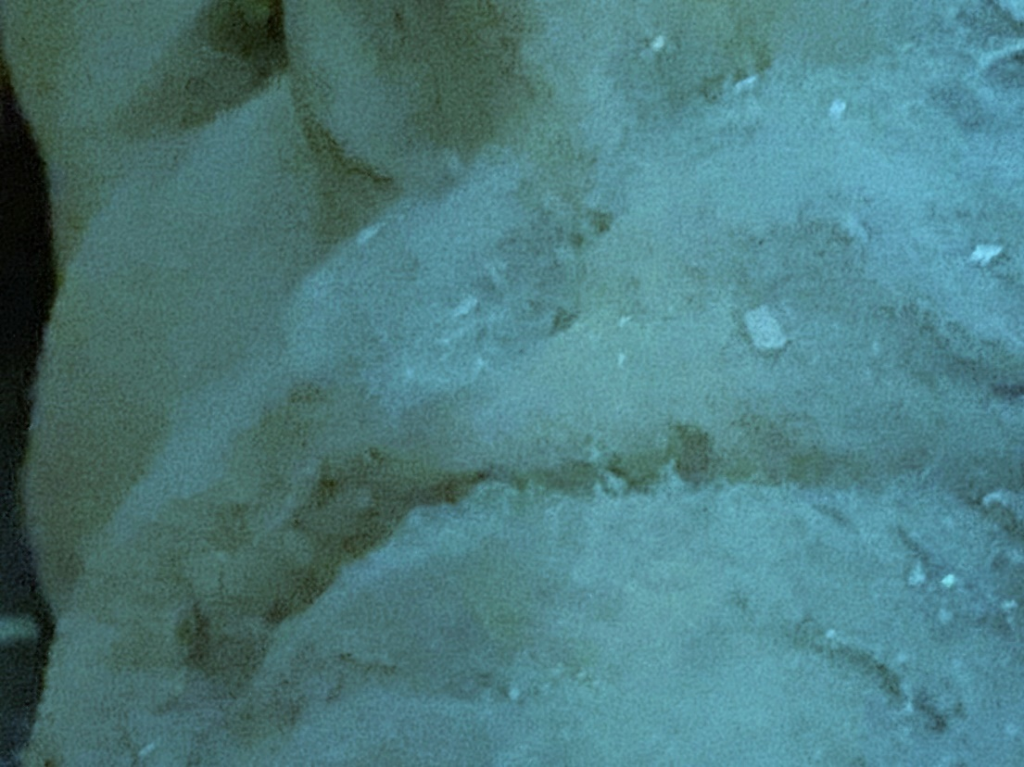 Close-up image of a clay sculpture of a human face. Each photo here is of a face from a slightly different angle, close up near the mouth.