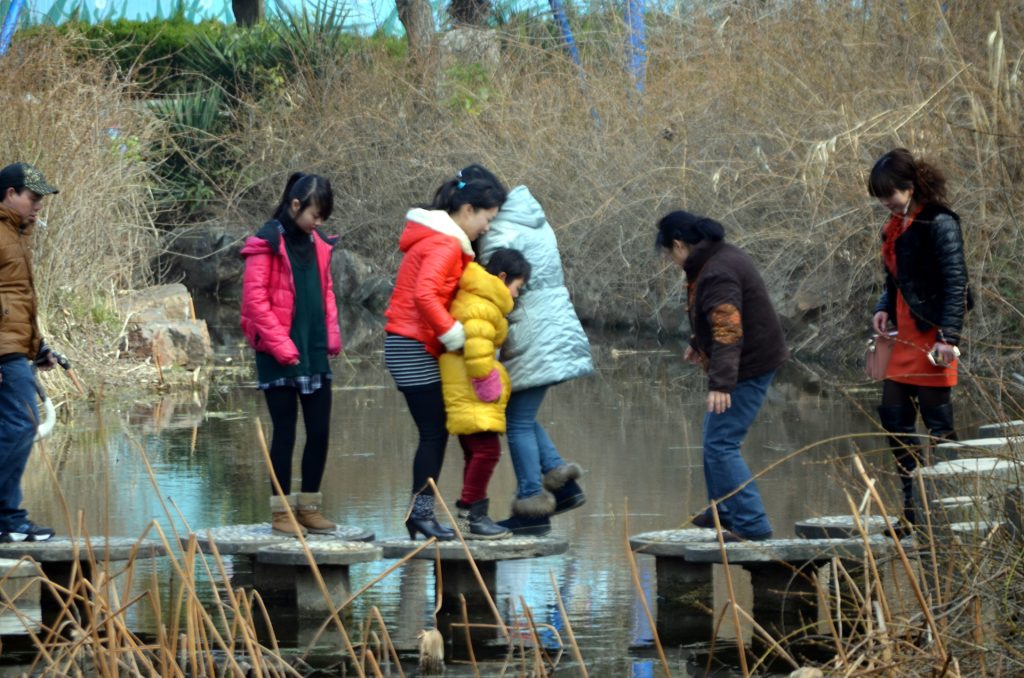 Group of East Asian people in puffy jackets and boots walking across a foot bridge that's stepping stones in a pond. Cattails and dry brown grass, sunny day. 
