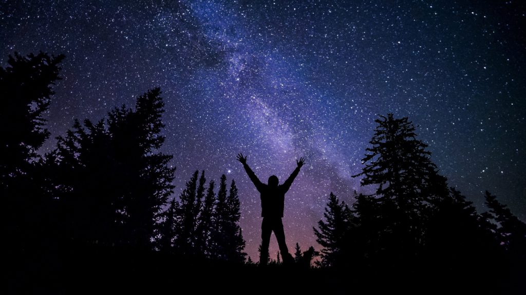 Silhouette of an adult person out at night near some pine trees with a view of the Milky Way