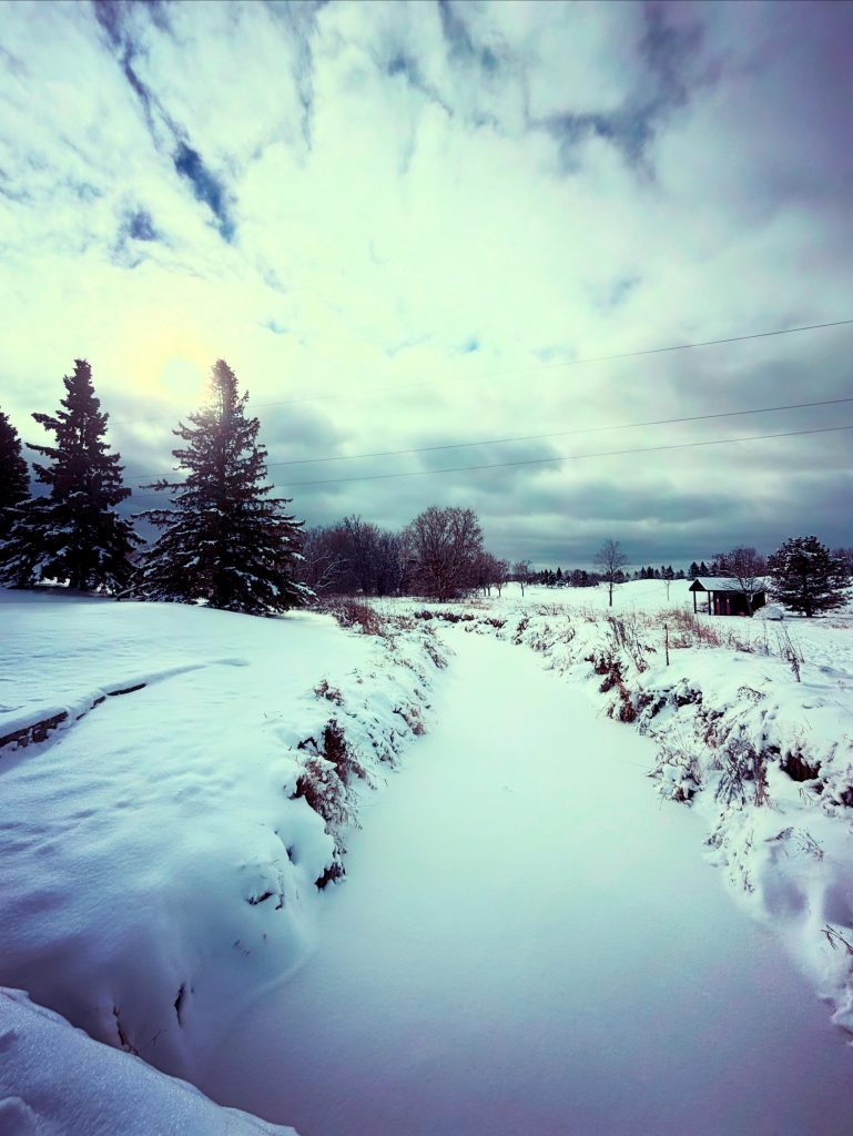 Snowy pathway near a small building, bushes, and pine trees on a cloudy day.