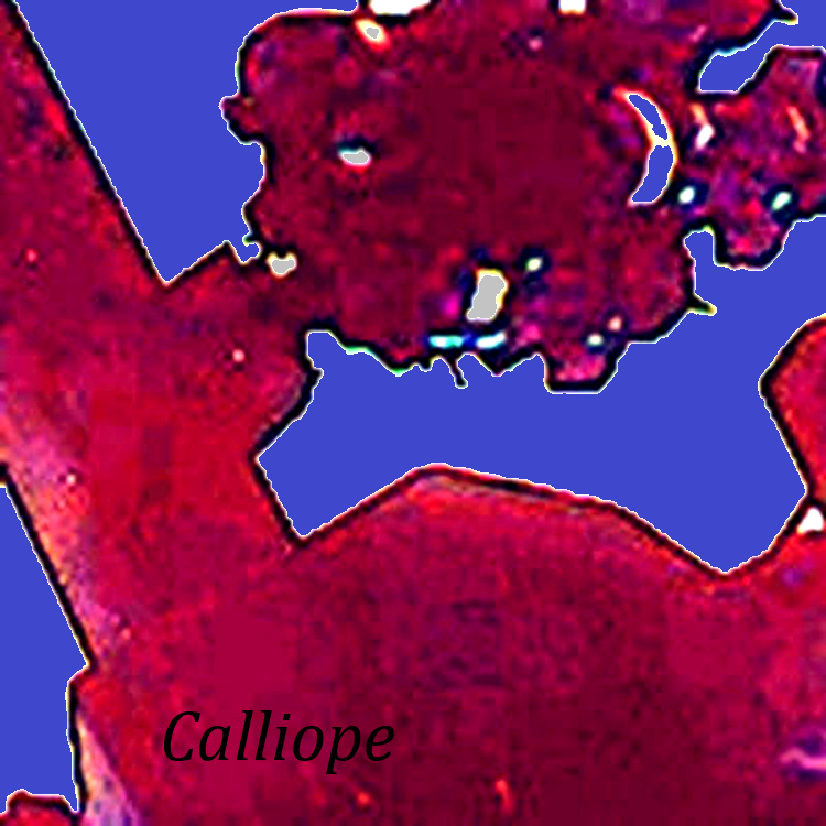 Maplike image of purple land over a light blue background.