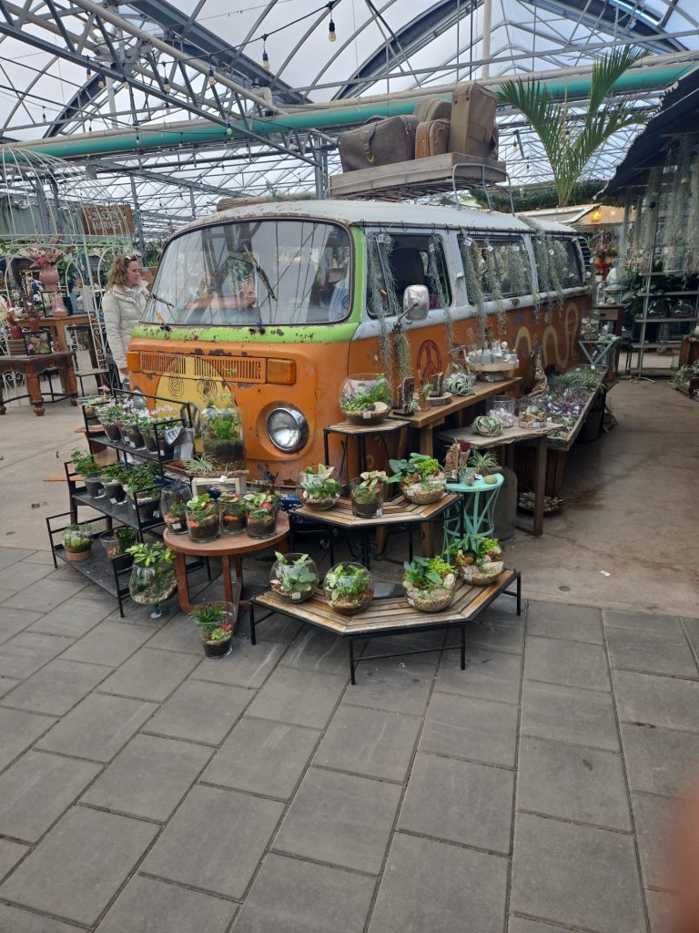 Orange Volkswagen bus with peace signs painted onto its side and lots of succulent plants in little pots next to it. 